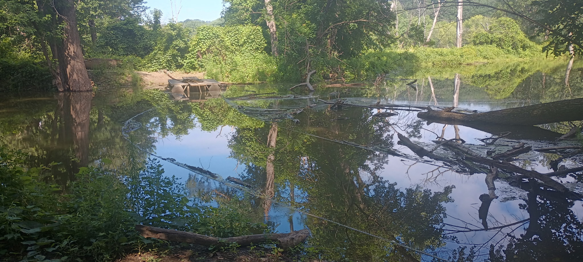 Trail status picture