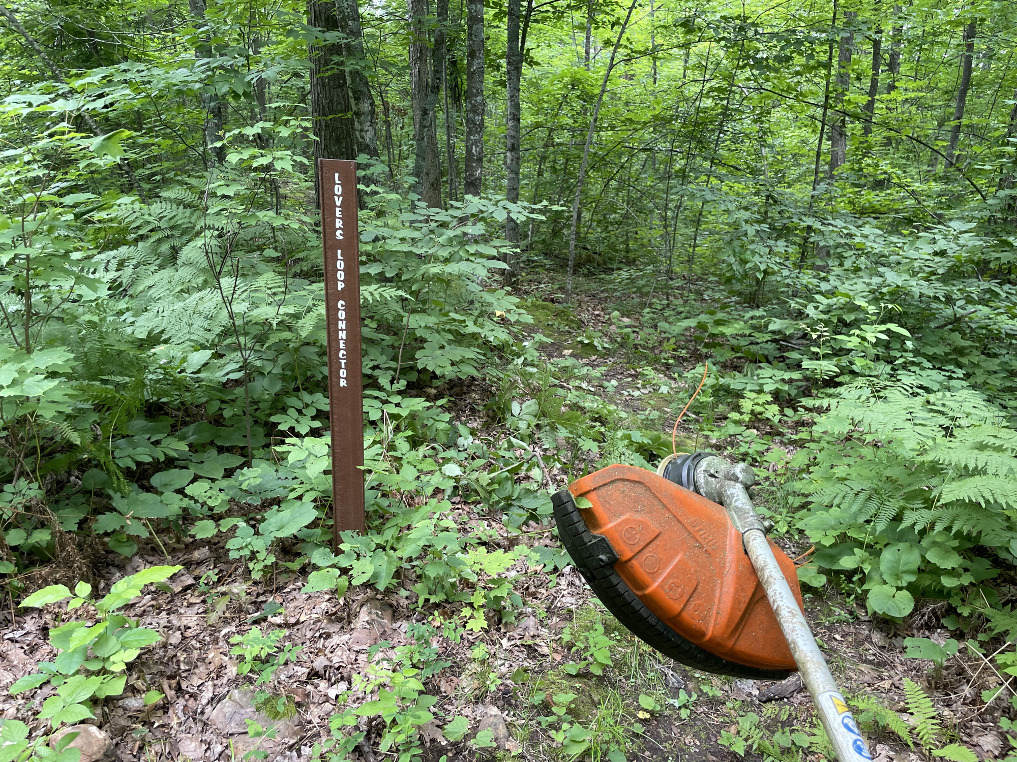 Trail status picture