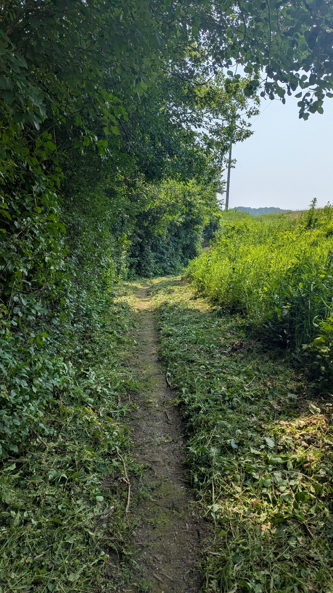 Trail status picture