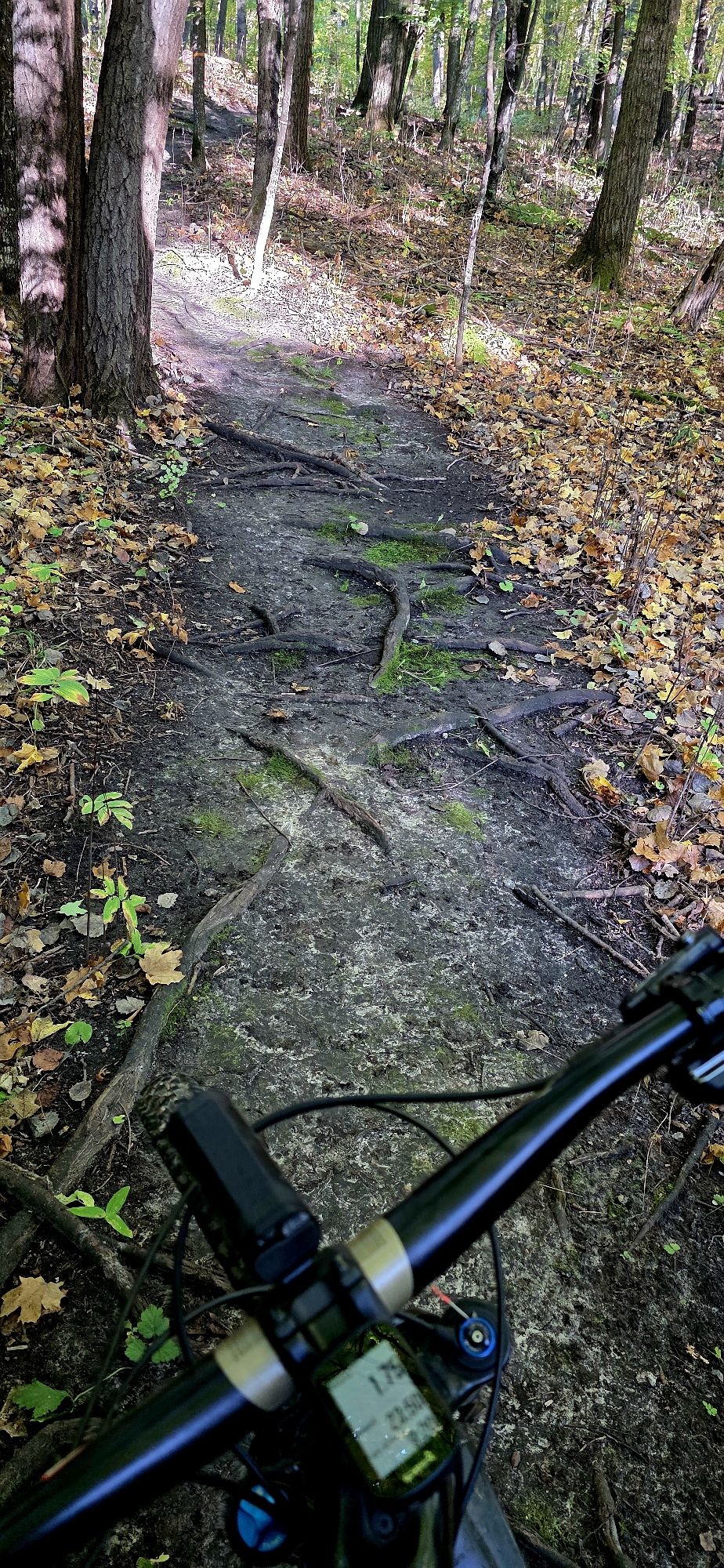 Trail status picture