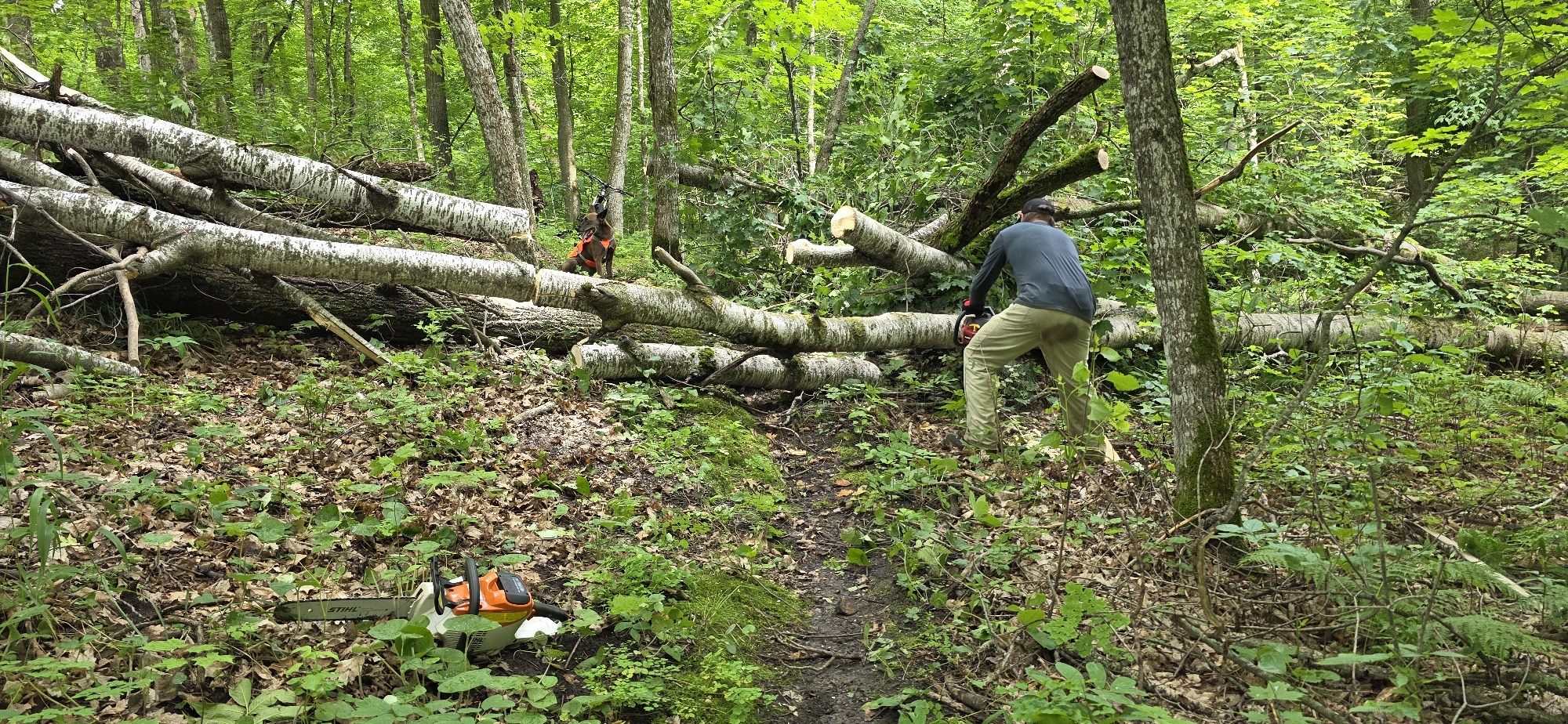Trail status picture