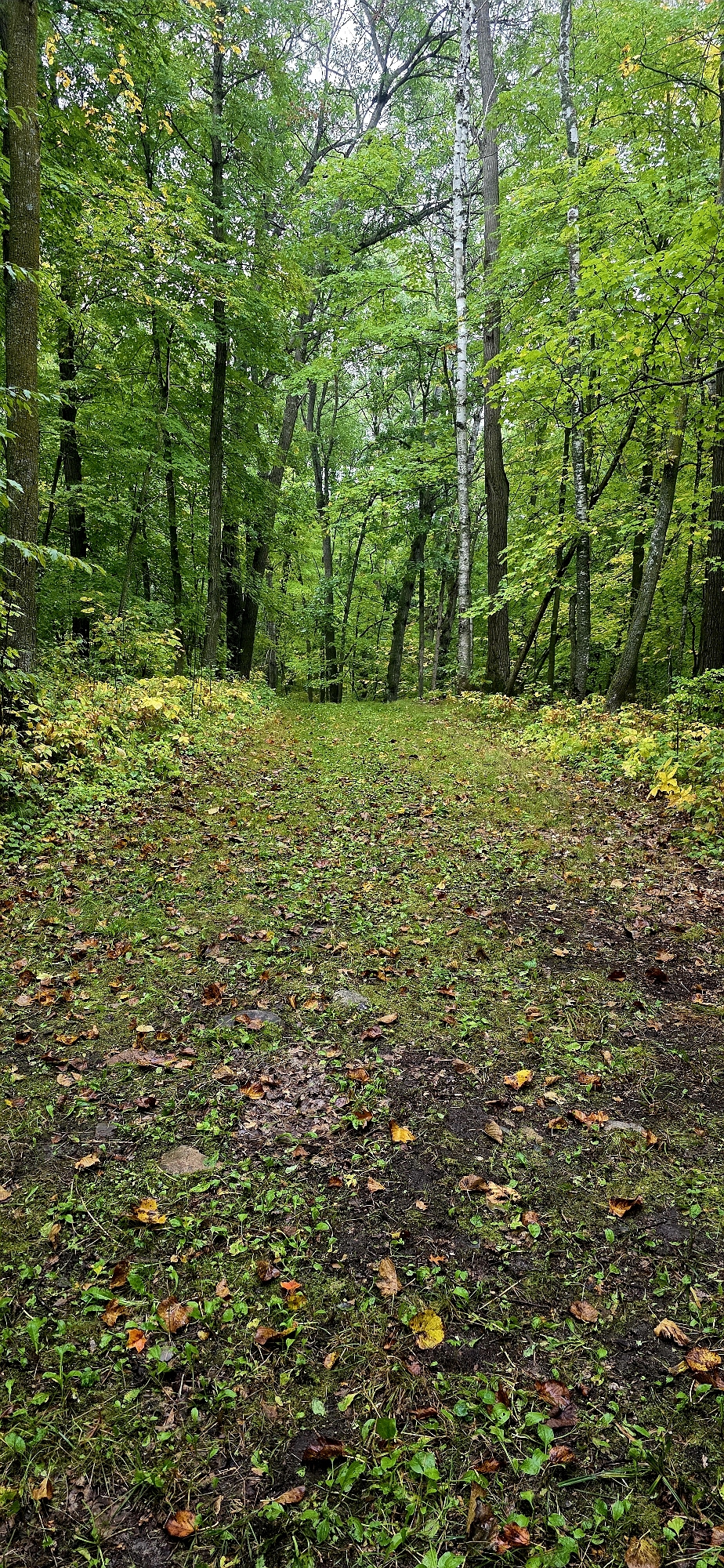 Trail status picture