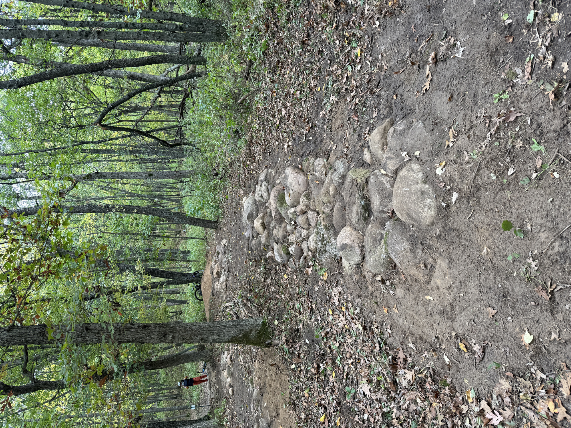 Trail status picture