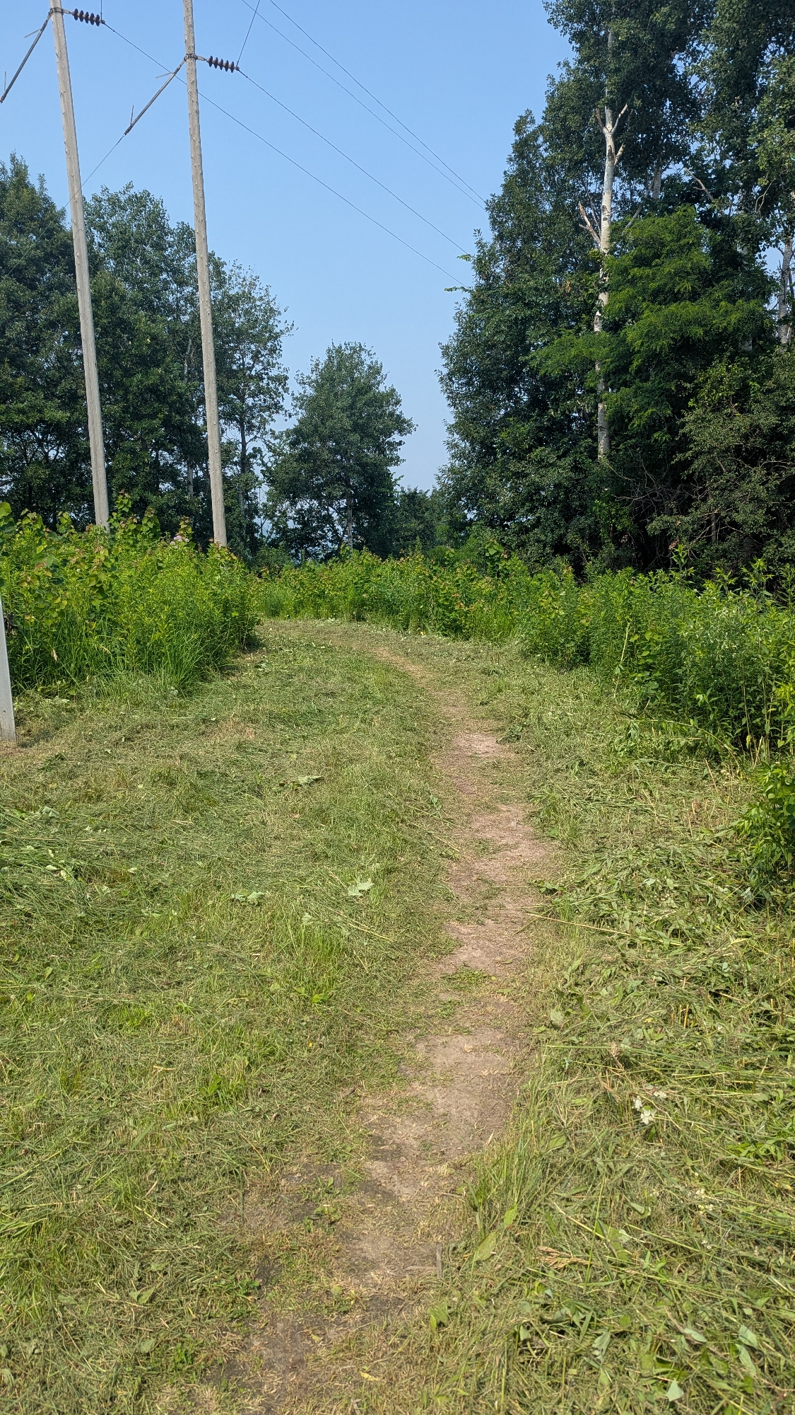 Trail status picture