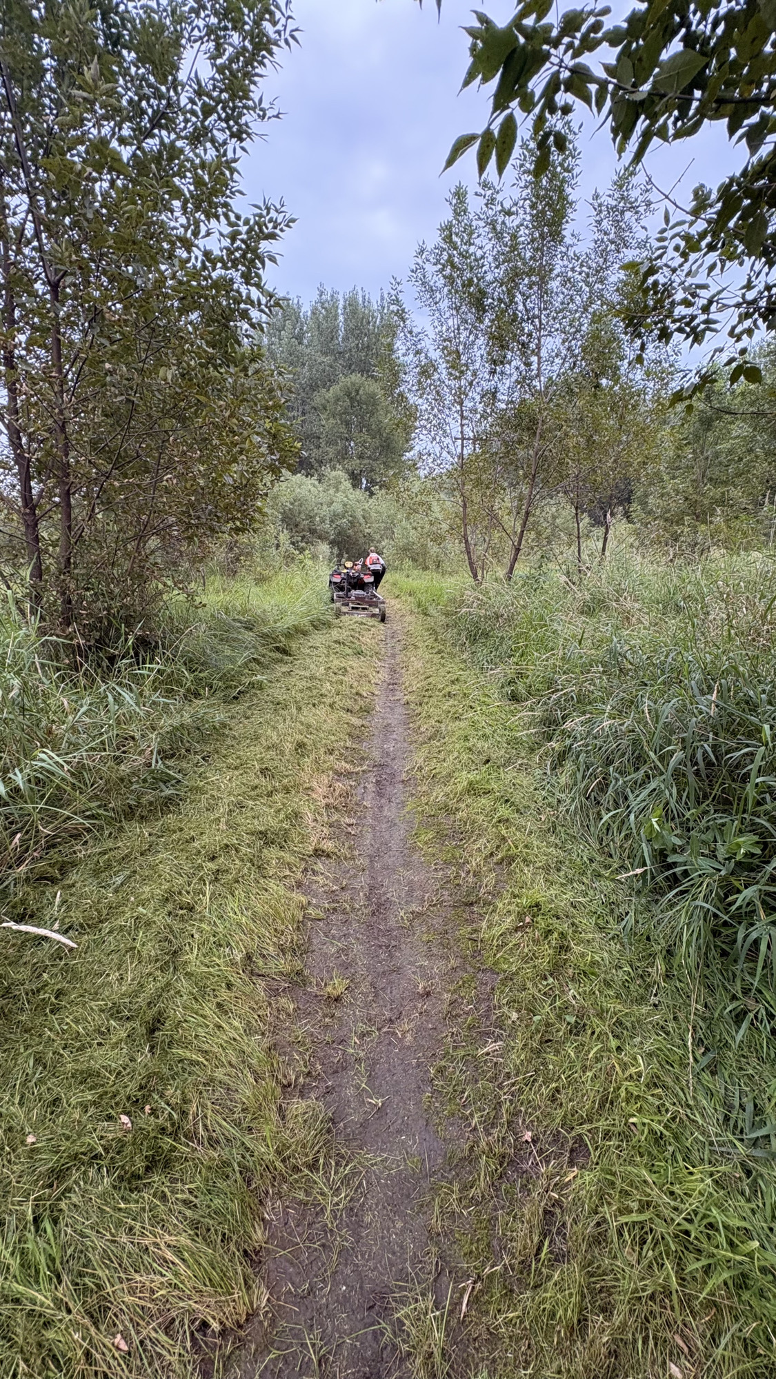 Trail status picture