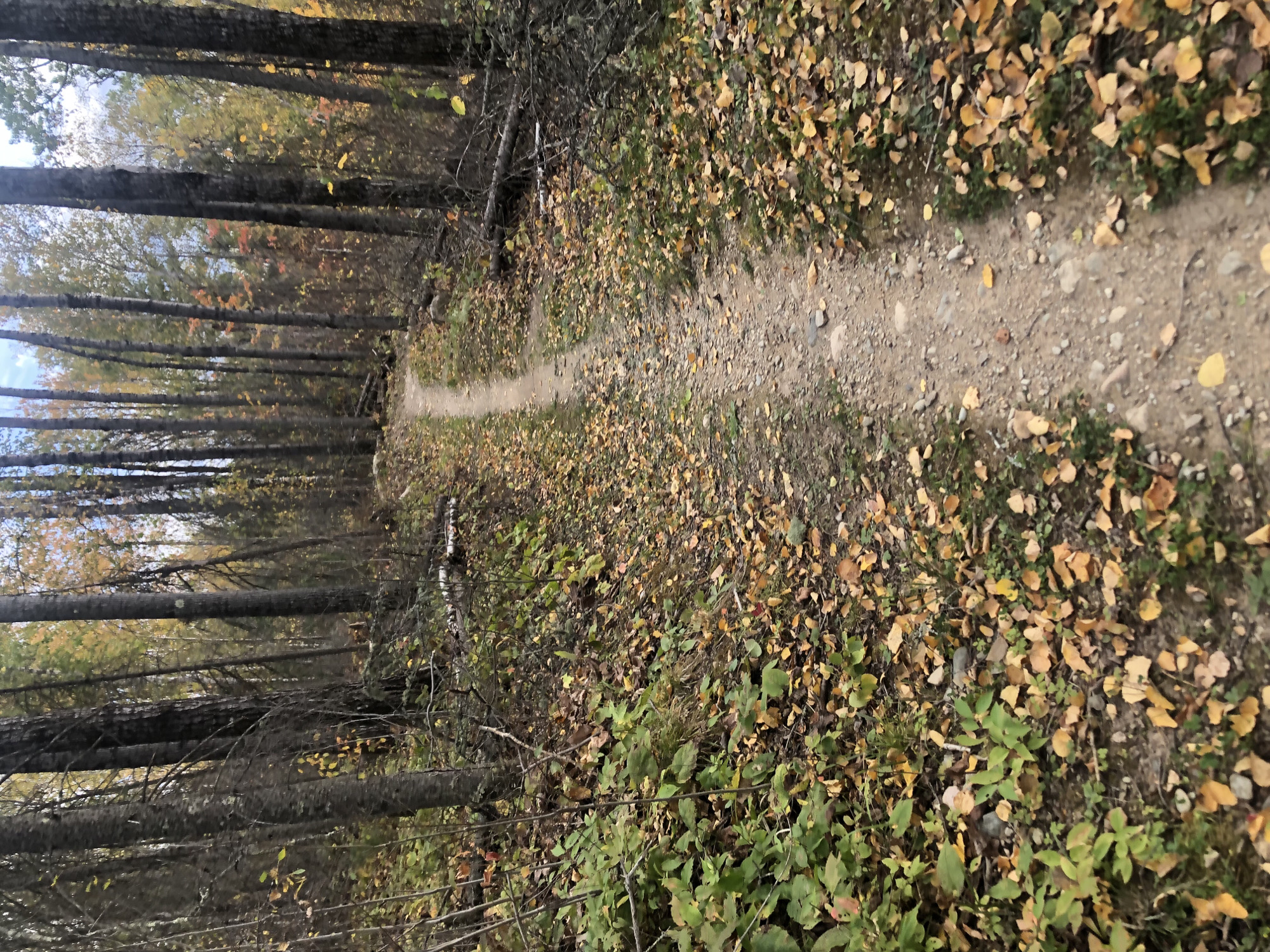 Trail status picture