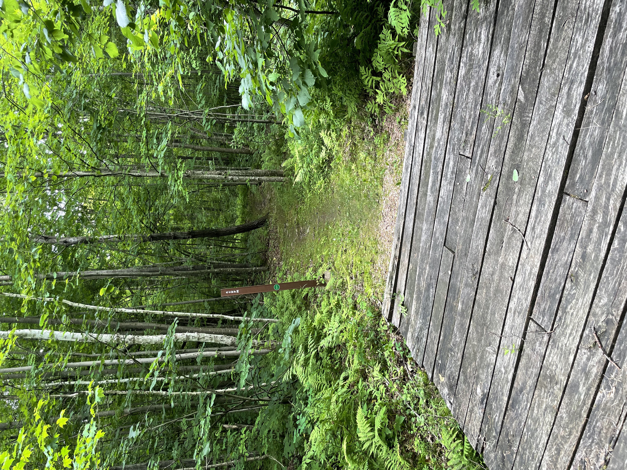 Trail status picture