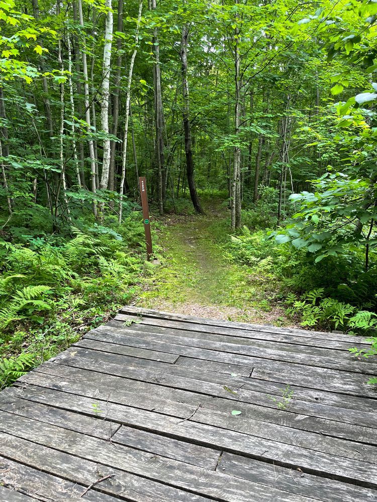 Trail status picture