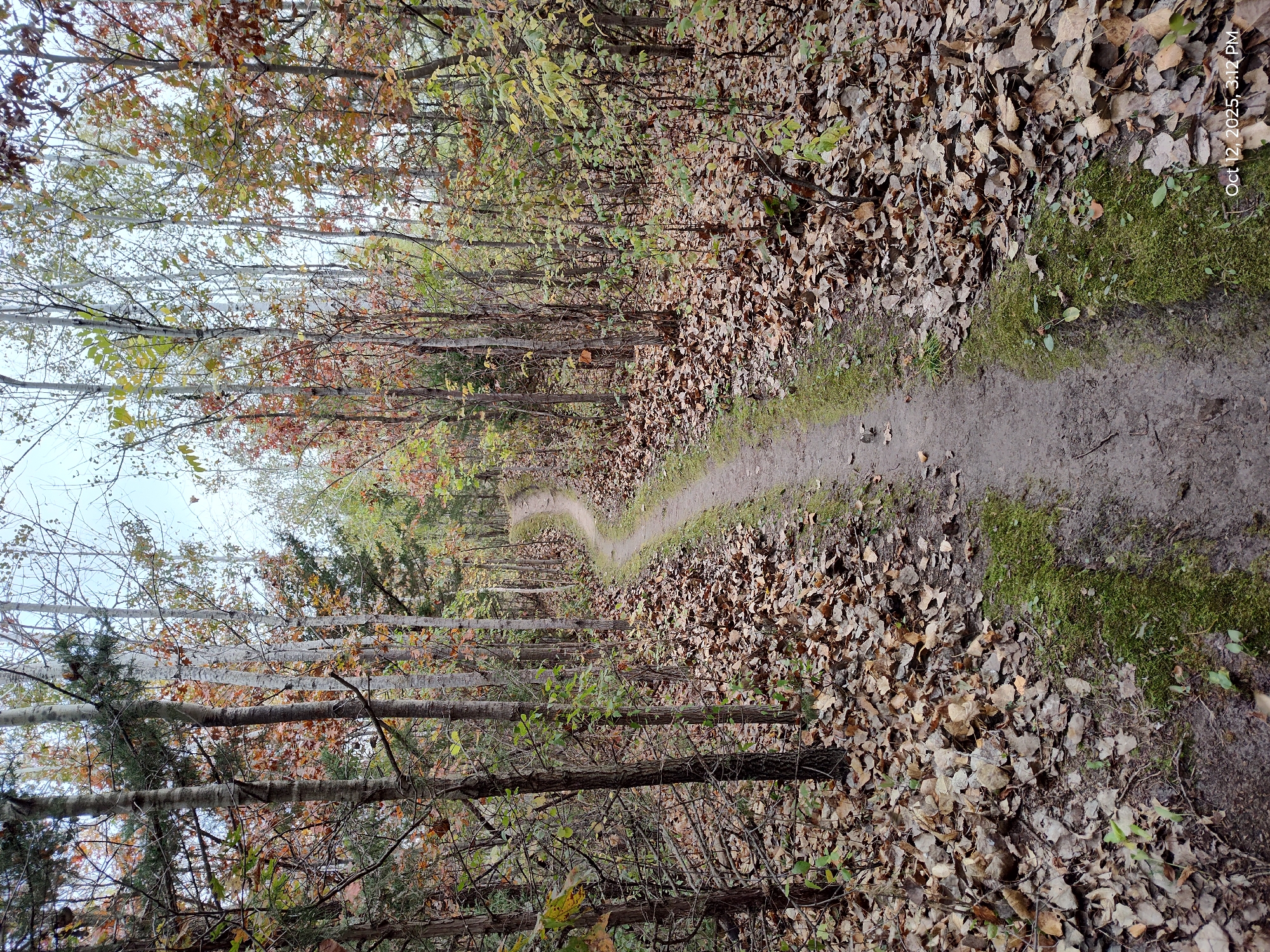 Trail status picture