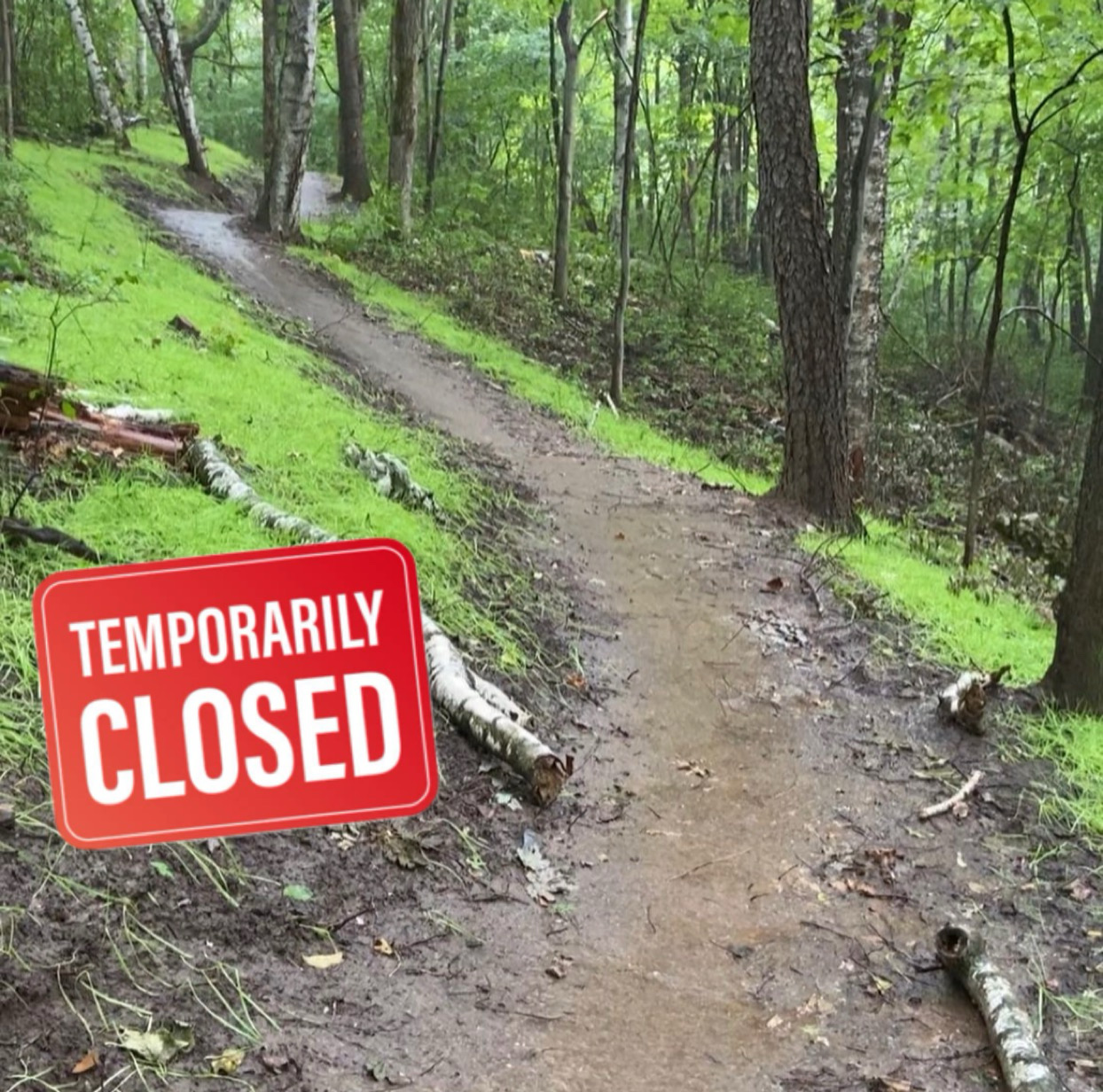 Trail status picture