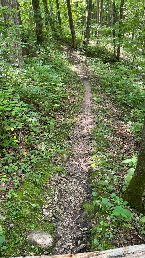 Trail status picture