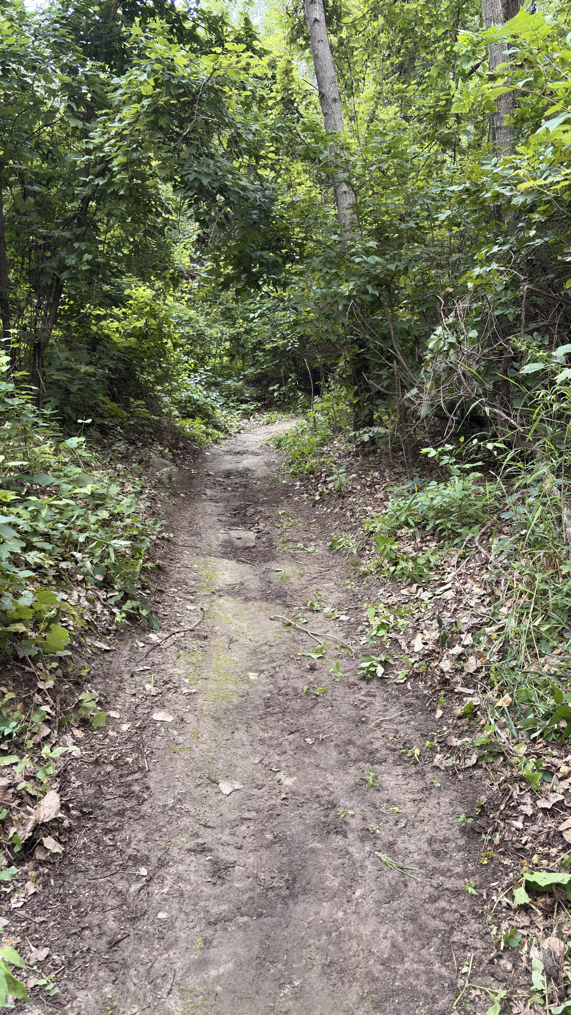 Trail status picture
