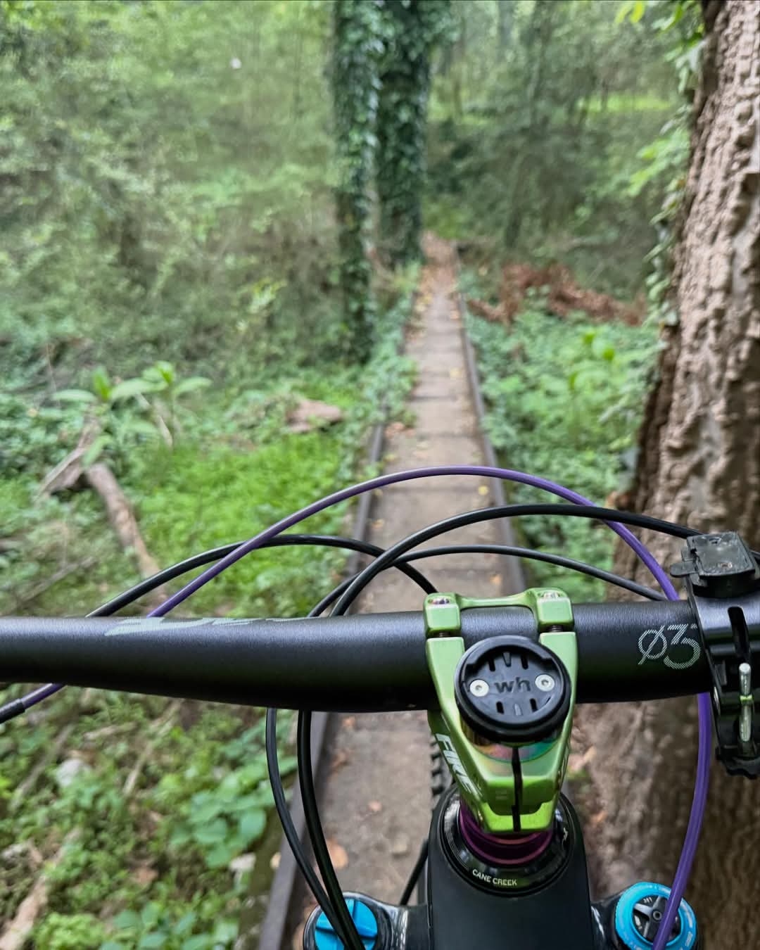 Trail status picture