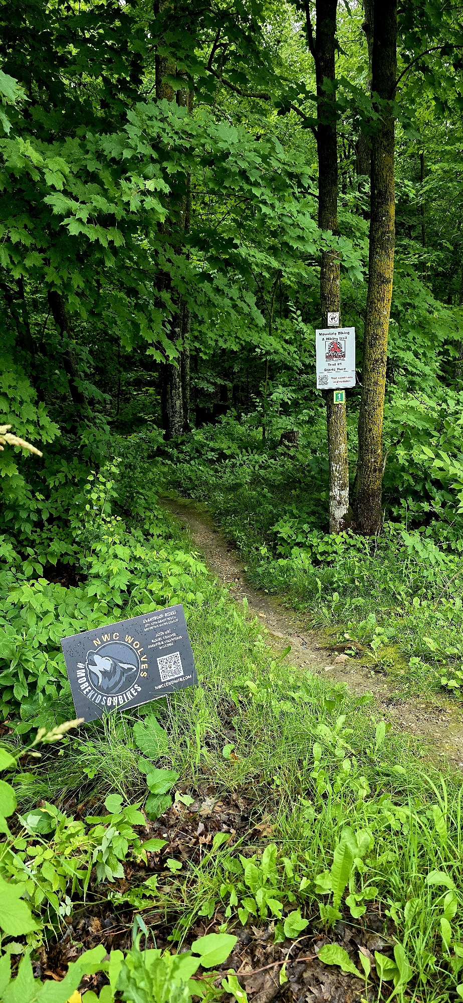 Trail status picture