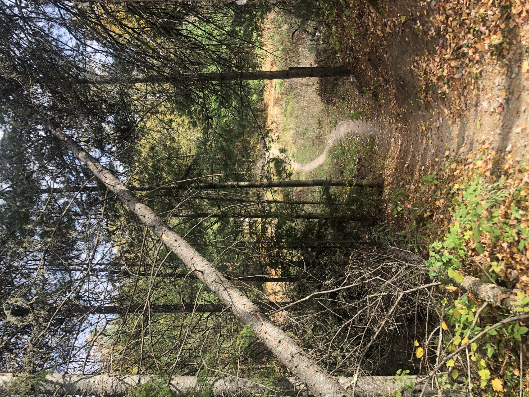Trail status picture