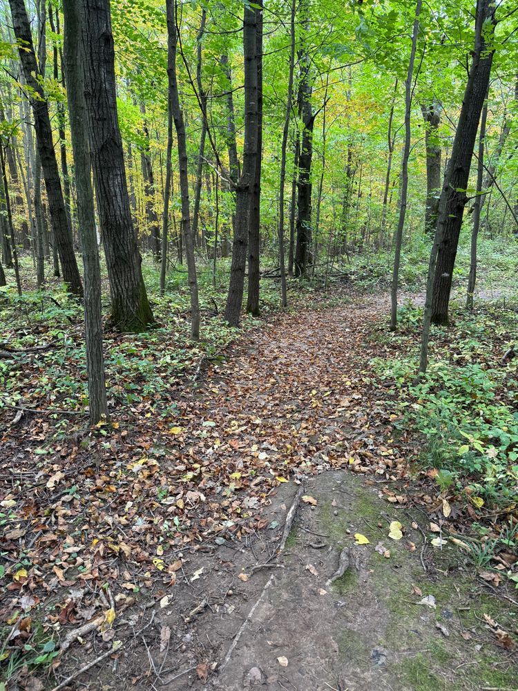 Trail status picture