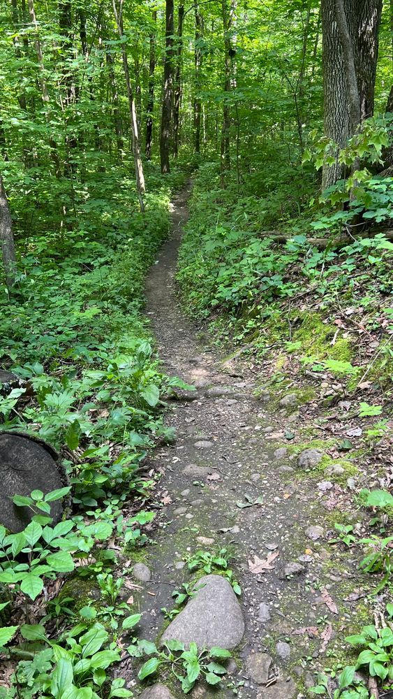 Trail status picture