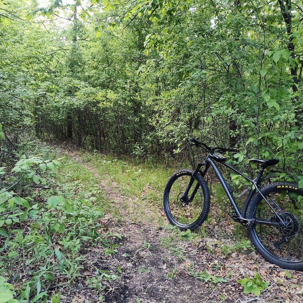 Trail status picture