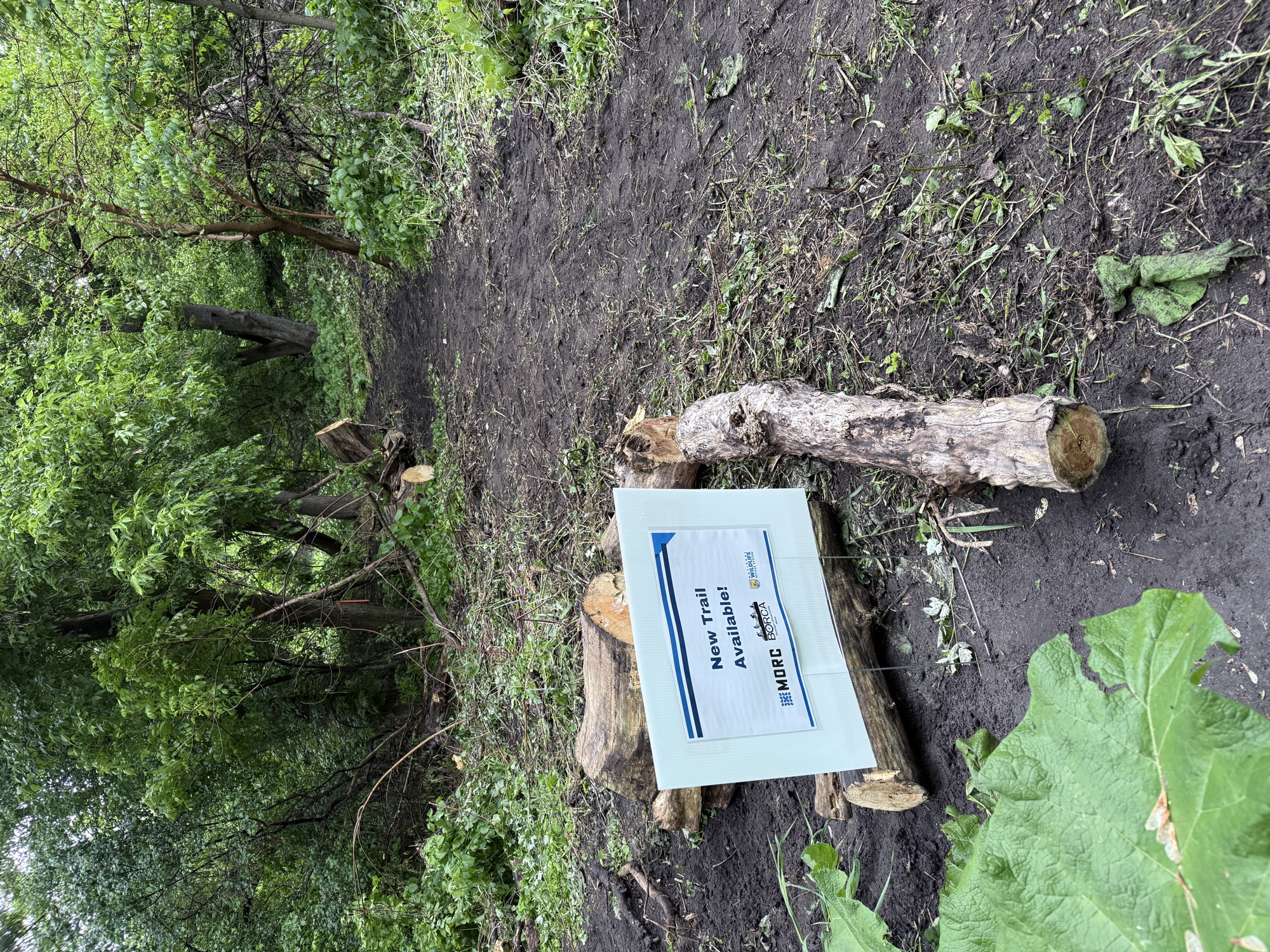 Trail status picture