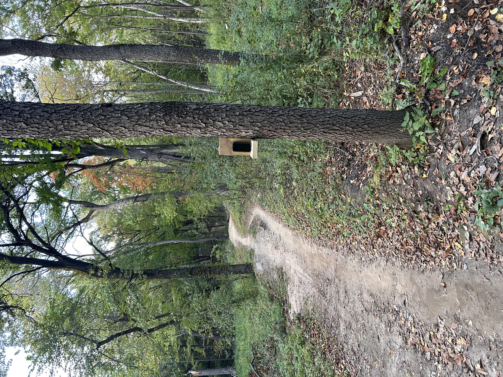 Trail status picture