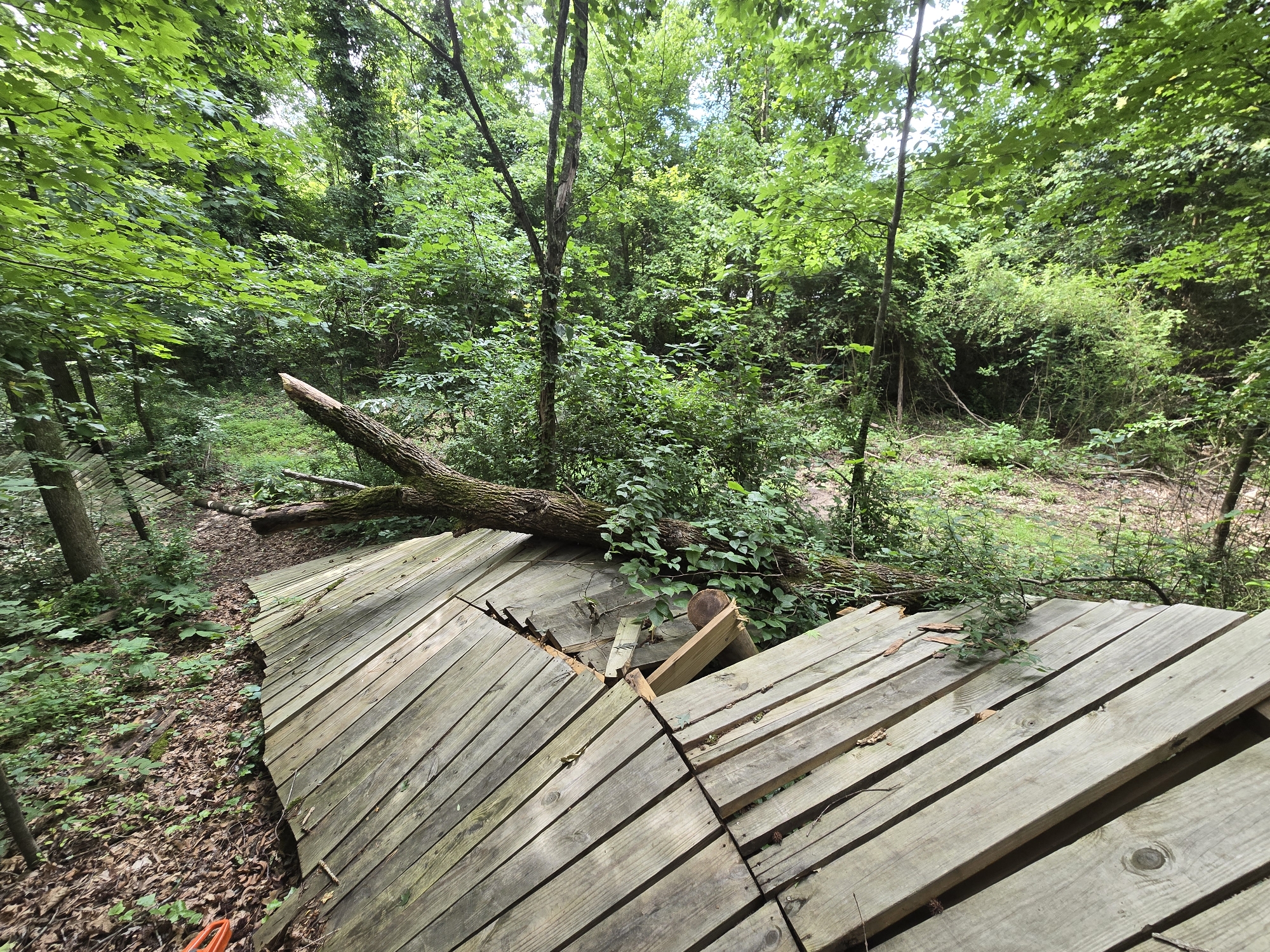 Trail status picture