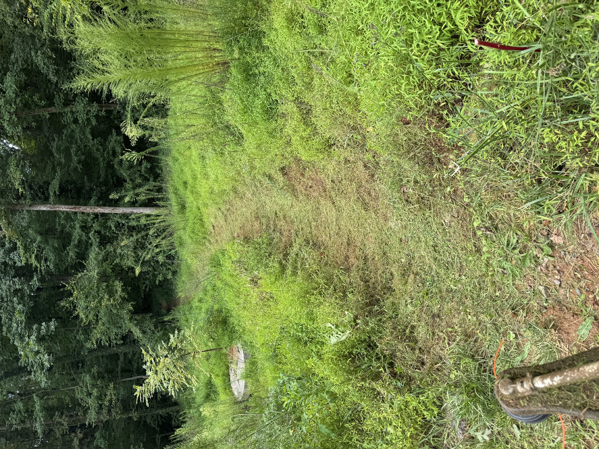 Trail status picture