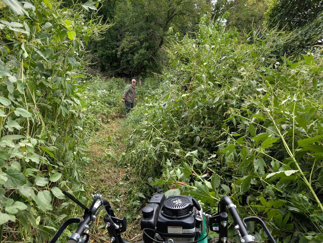 Trail status picture