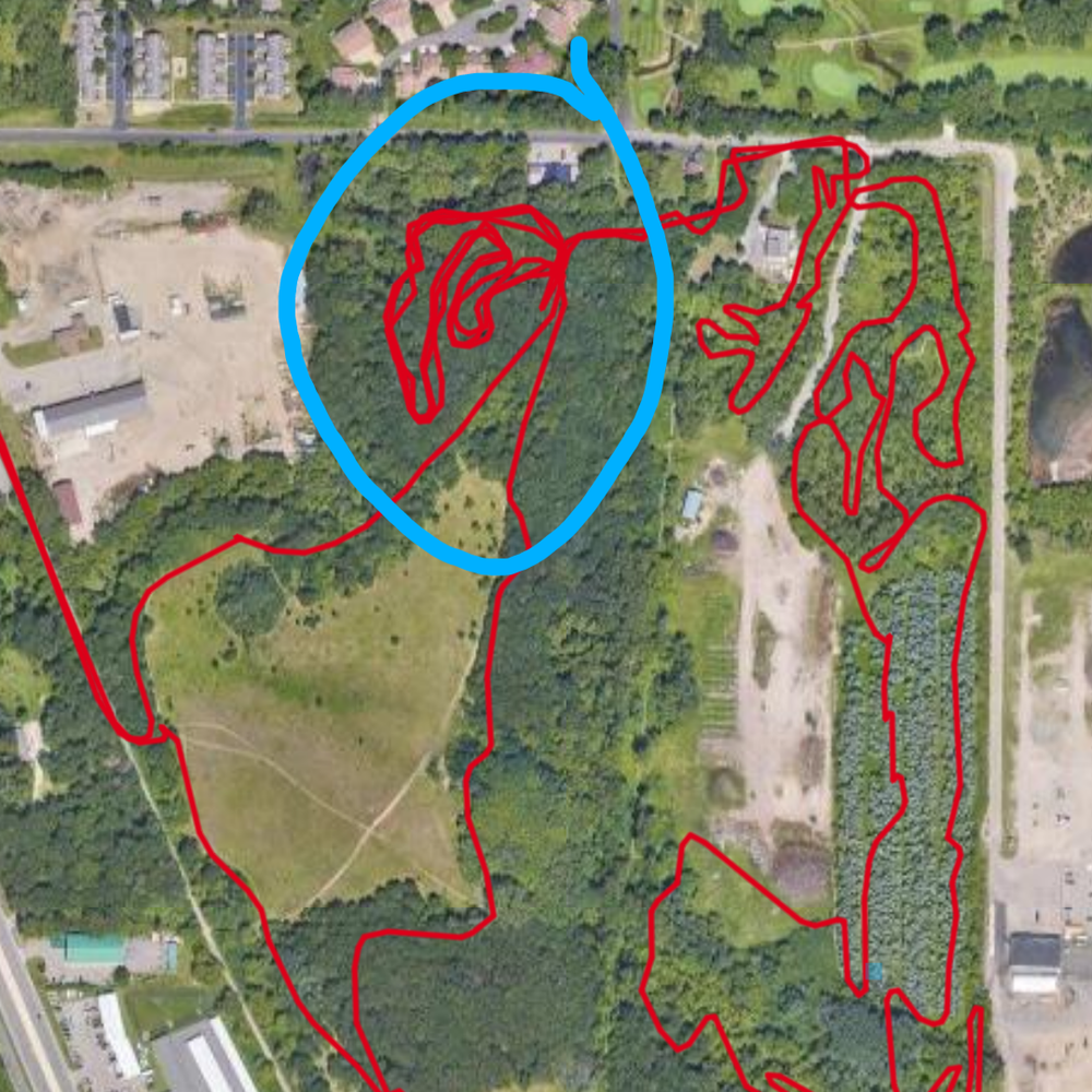 Trail status picture