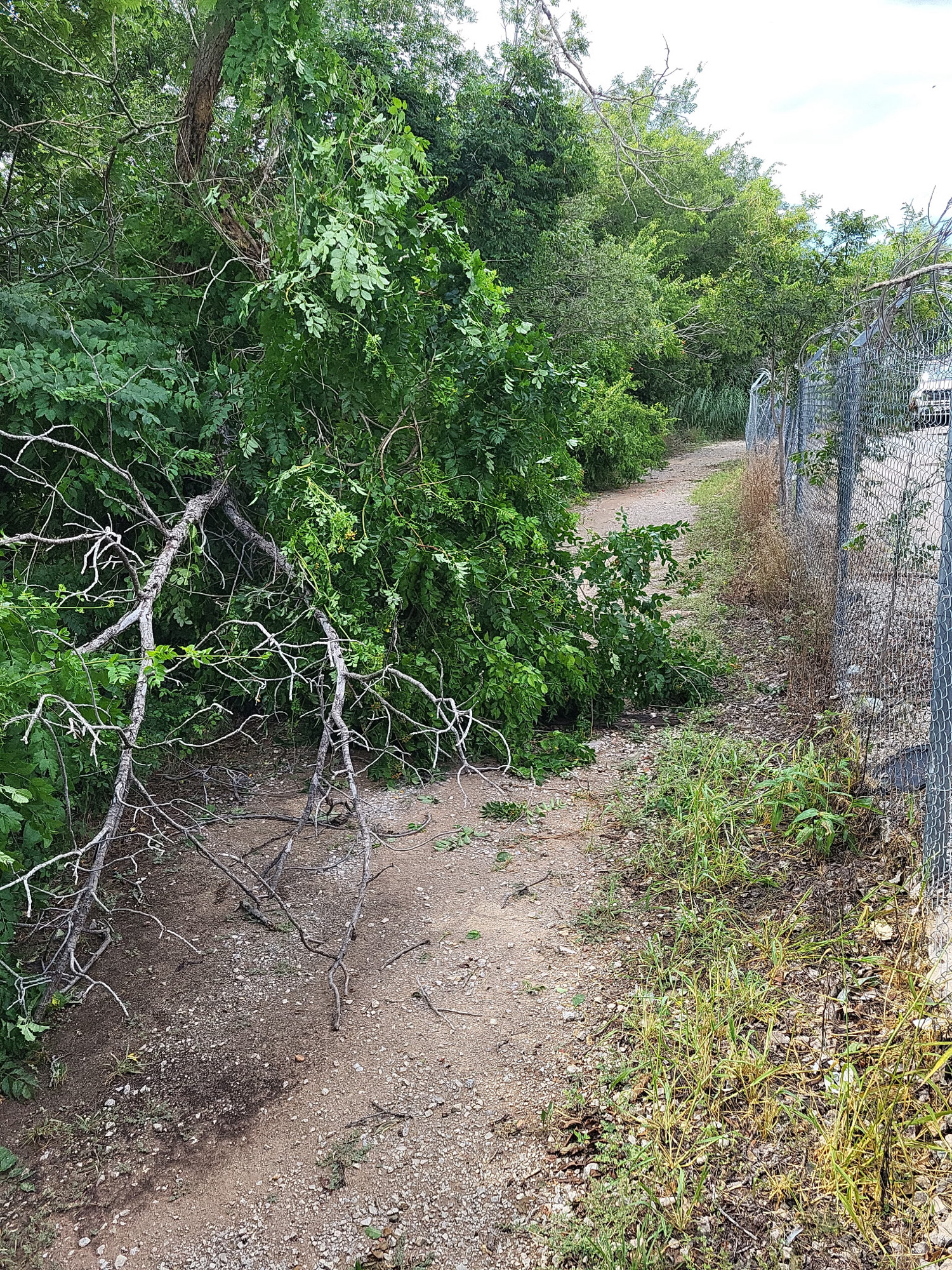 Trail status picture