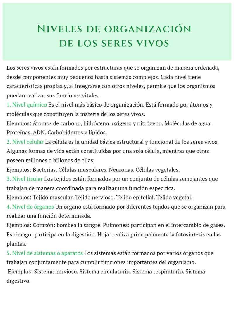 Untitled Magazine — page 18