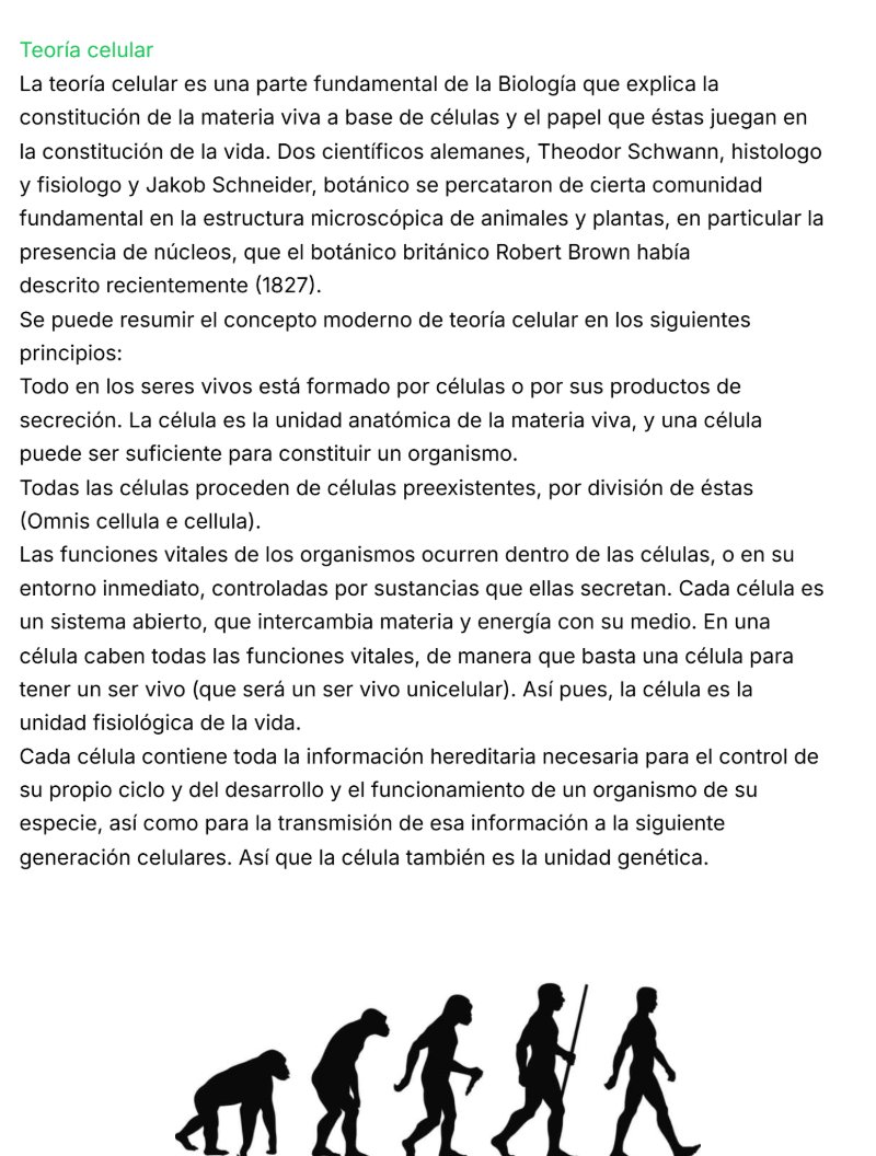Untitled Magazine — page 10
