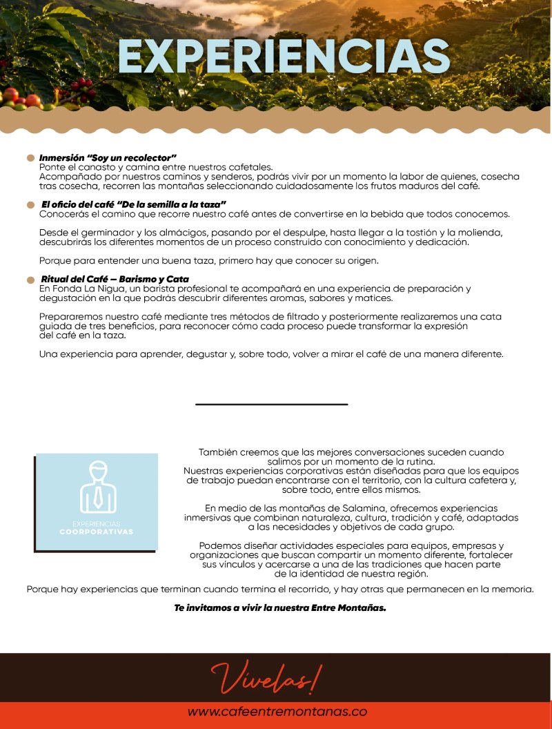 Café Entre Montañas — page 4