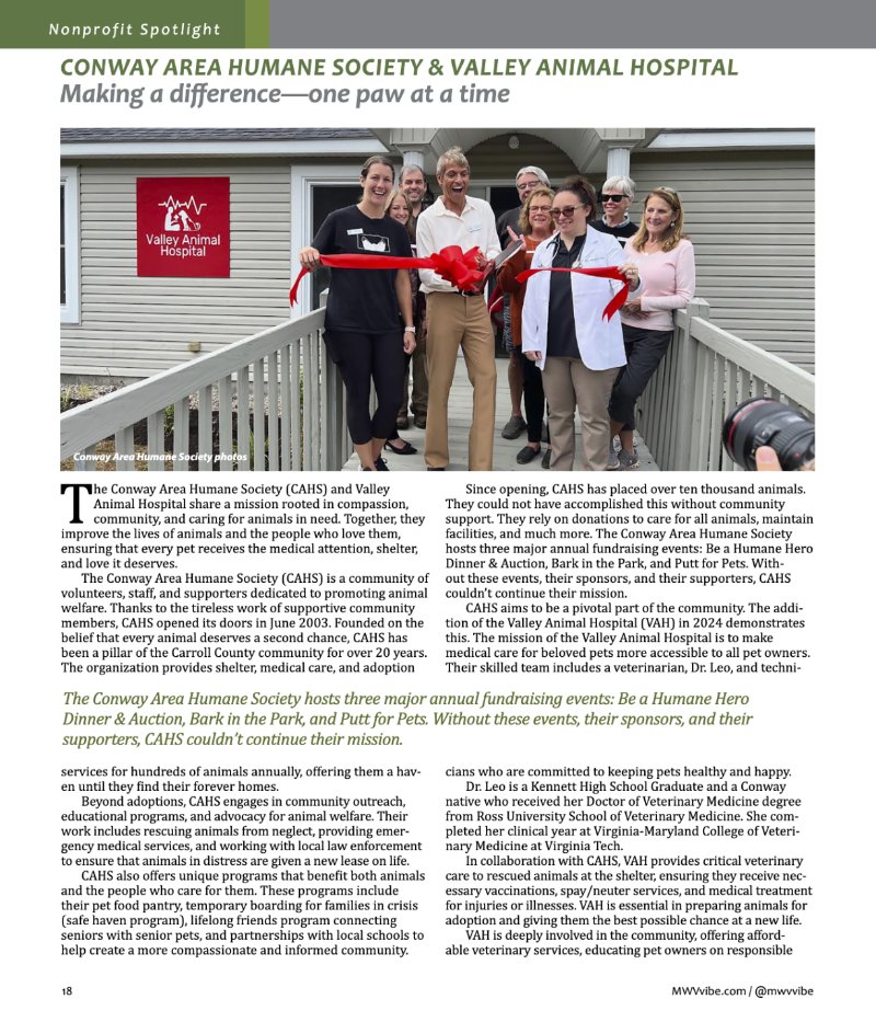 Vibe_Spring2025 — page 18