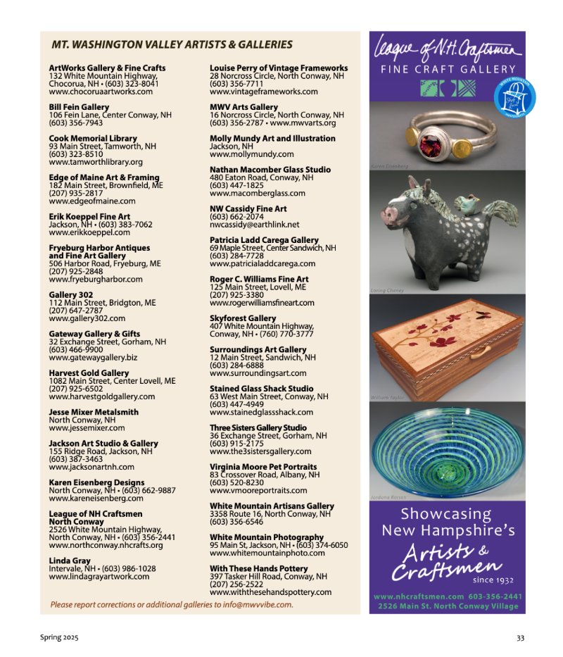 Vibe_Spring2025 — page 33