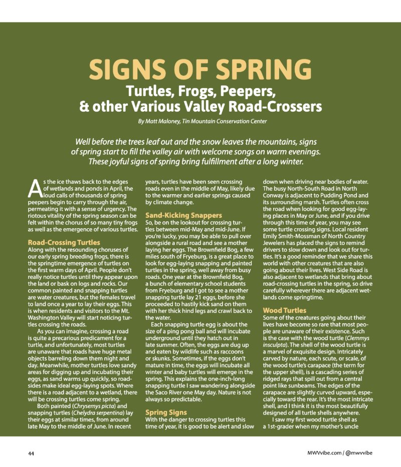 Vibe_Spring2025 — page 44
