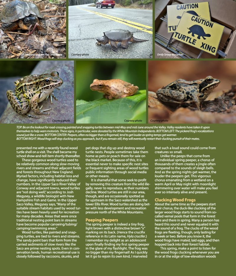 Vibe_Spring2025 — page 46