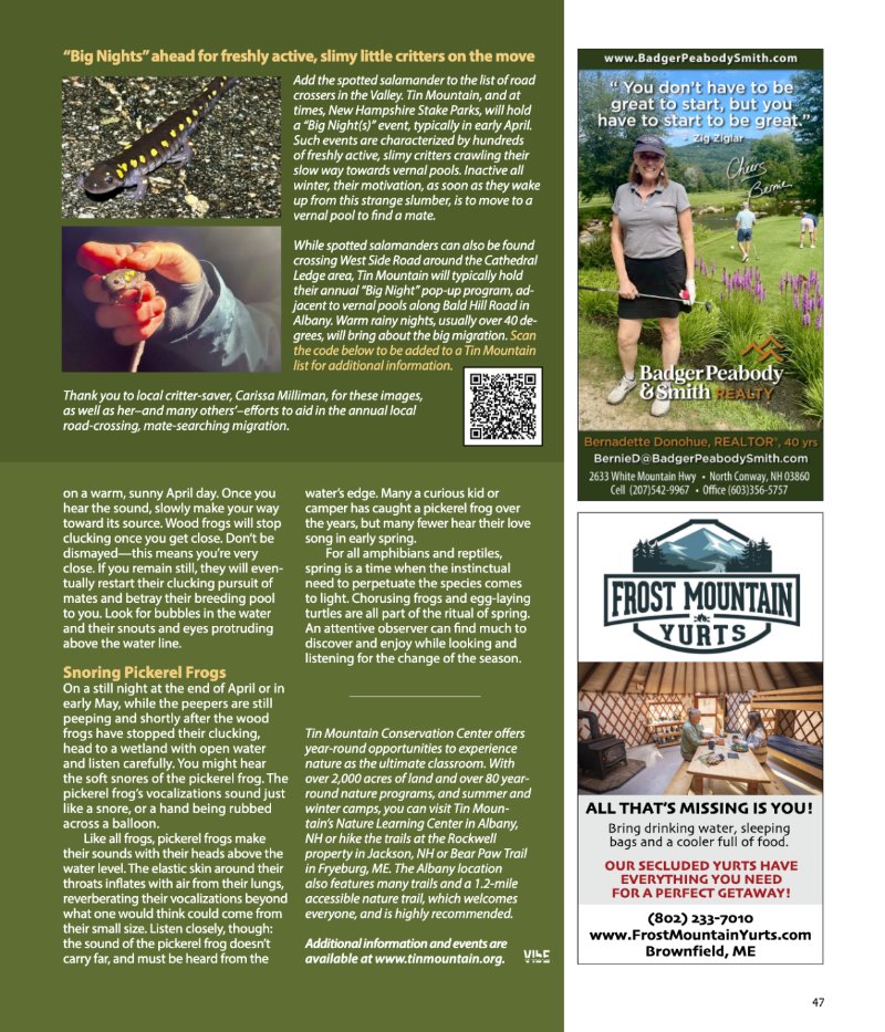 Vibe_Spring2025 — page 47