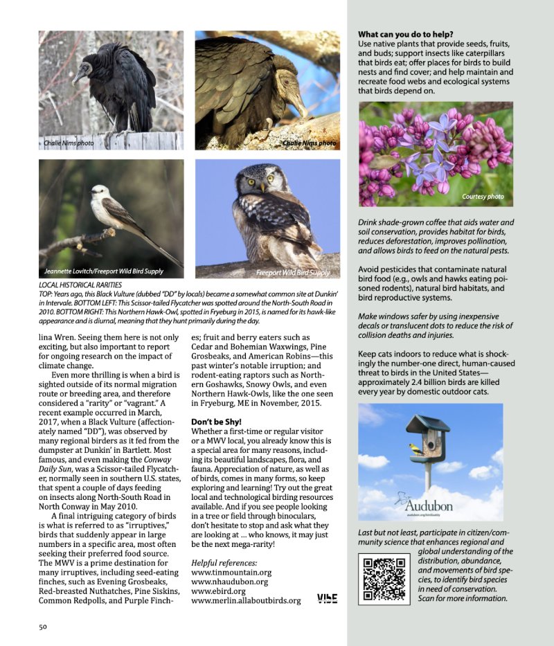 Vibe_Spring2025 — page 50