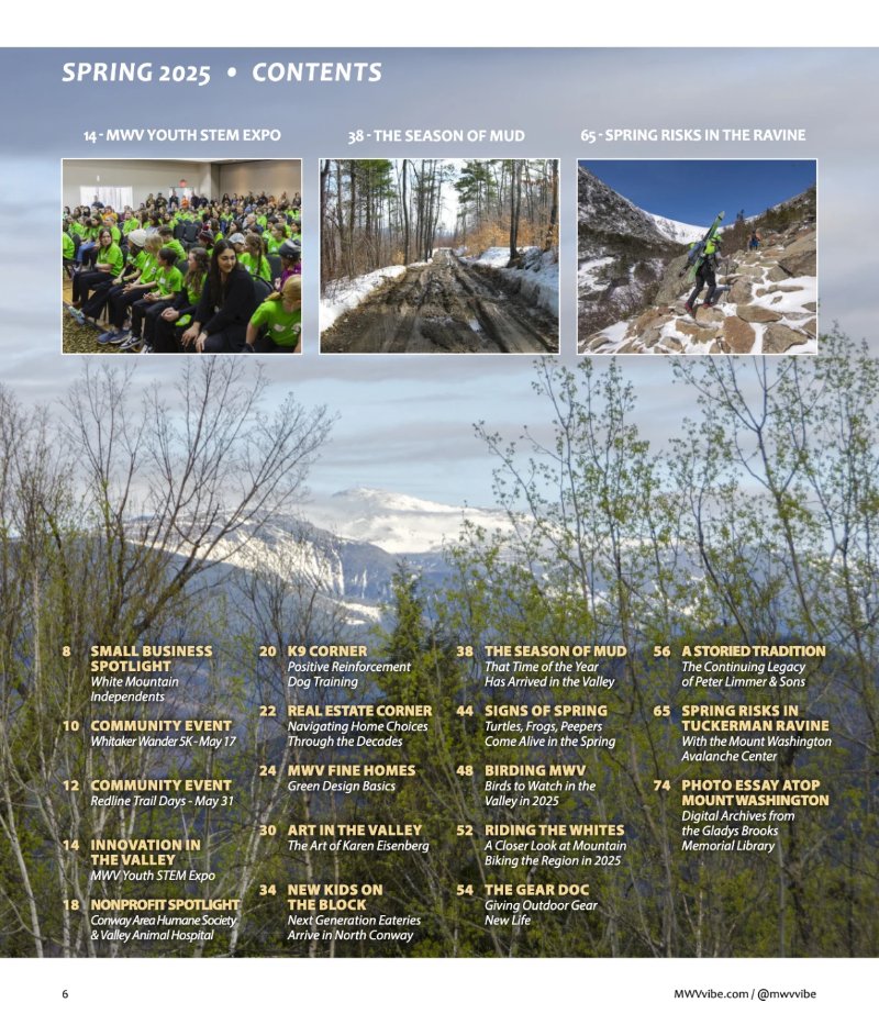 Vibe_Spring2025 — page 6