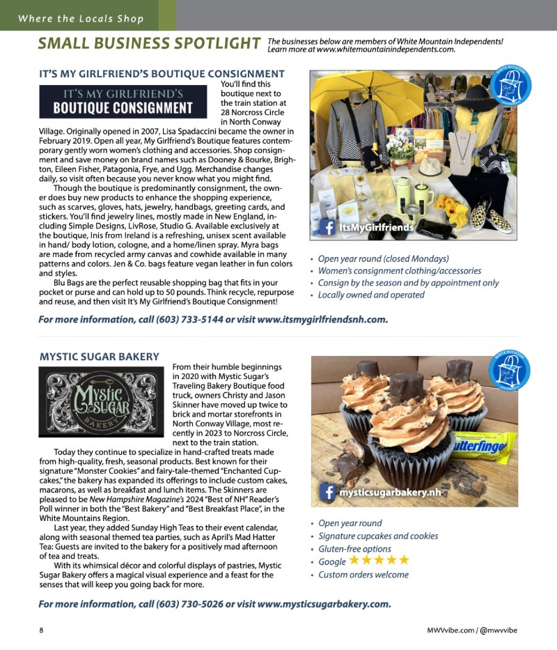 Vibe_Spring2025 — page 8