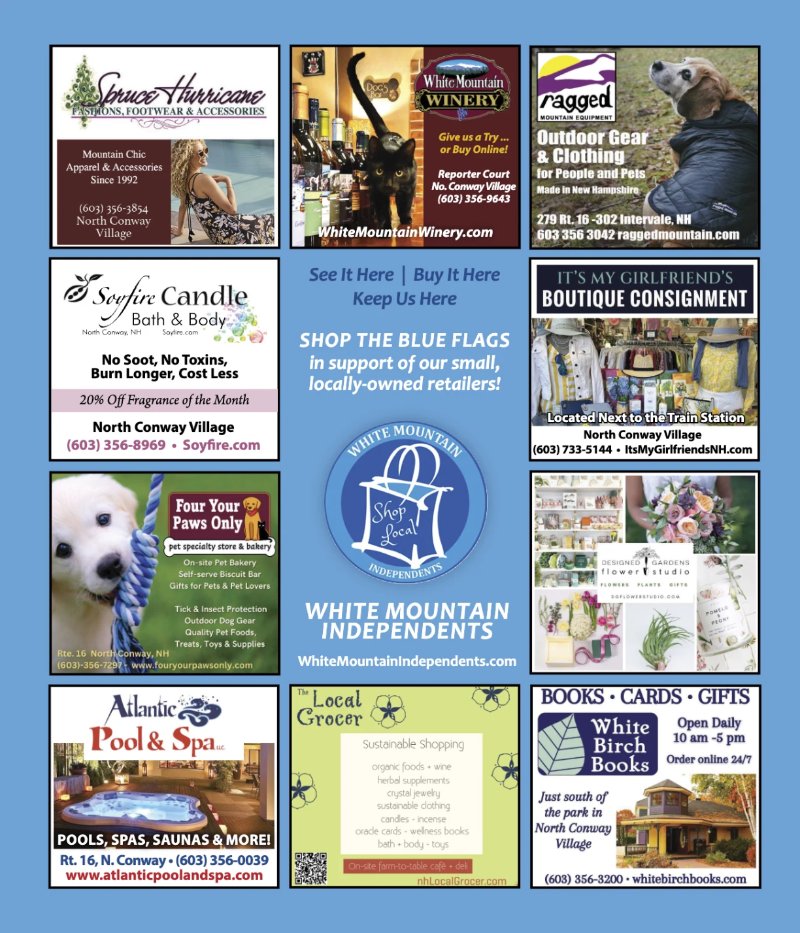 Vibe_Spring2025 — page 9