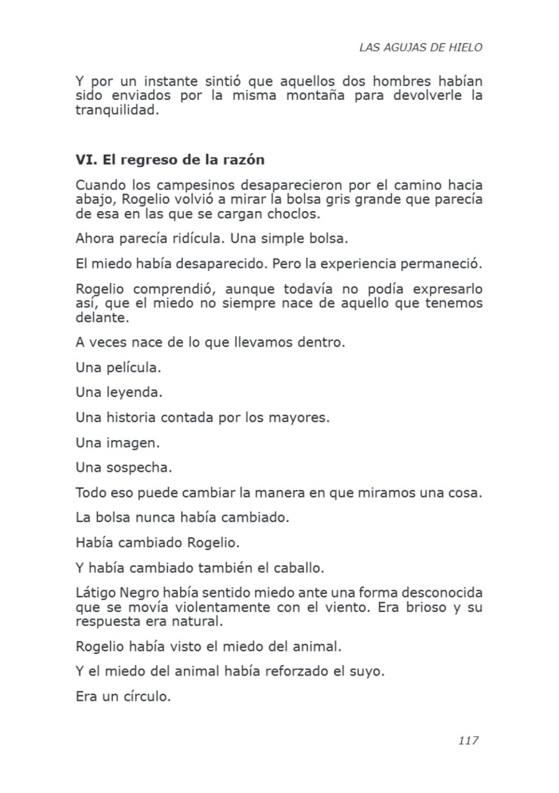LIBRO AGUJAS DE HIELO I — page 117