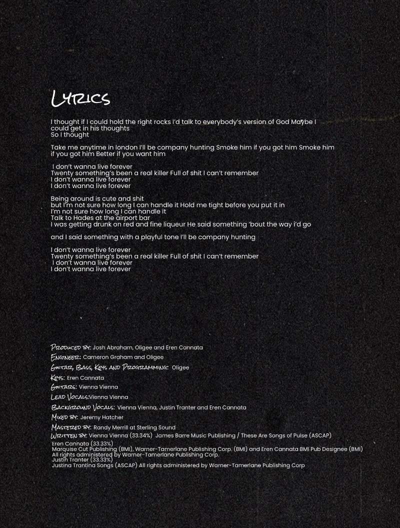 Vienna Vienna Musings Vol 1 — page 8