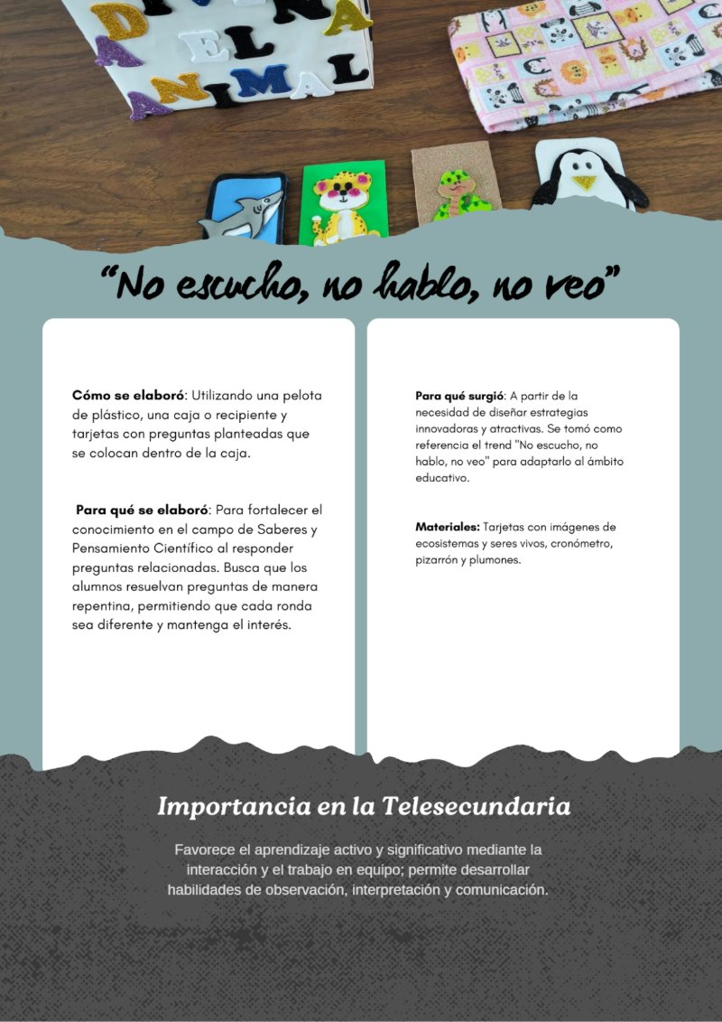 Revista Adopción Animal Doodle Orgánico Crema — page 14