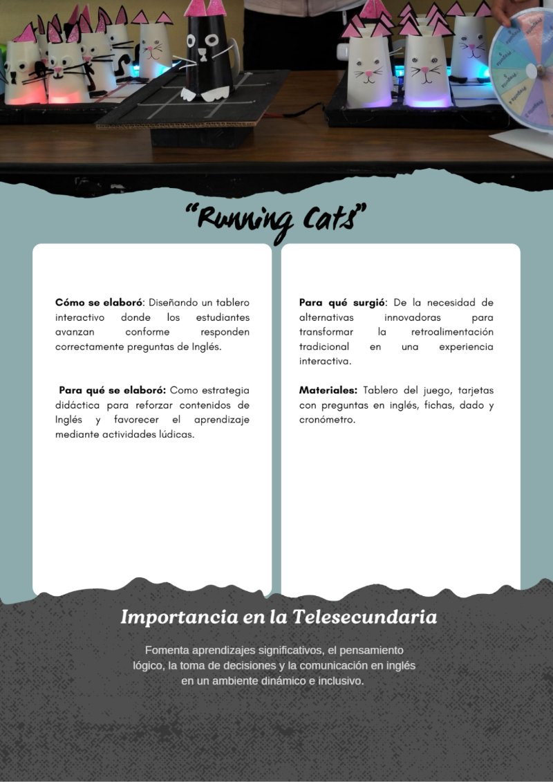 Revista Adopción Animal Doodle Orgánico Crema — page 17