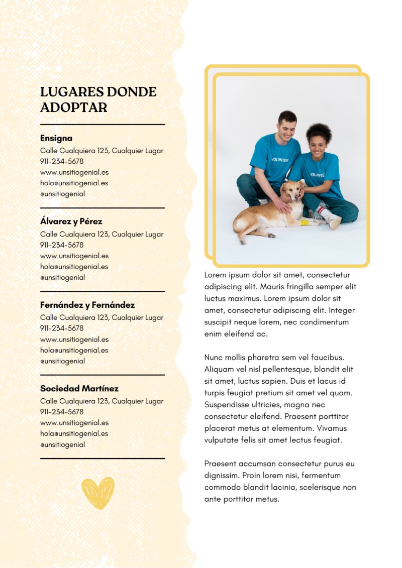 Revista Adopción Animal Doodle Orgánico Crema — page 22