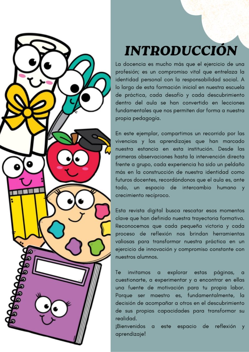 Revista Adopción Animal Doodle Orgánico Crema — page 4