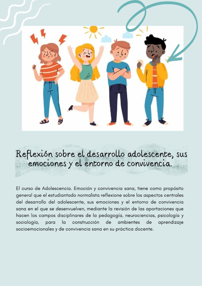 Revista Adopción Animal Doodle Orgánico Crema — page 5