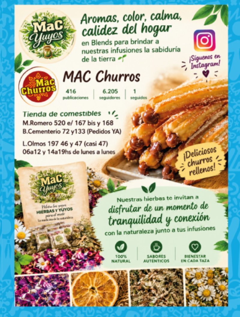 Revista San José (copy 2026-09-11) — page 15