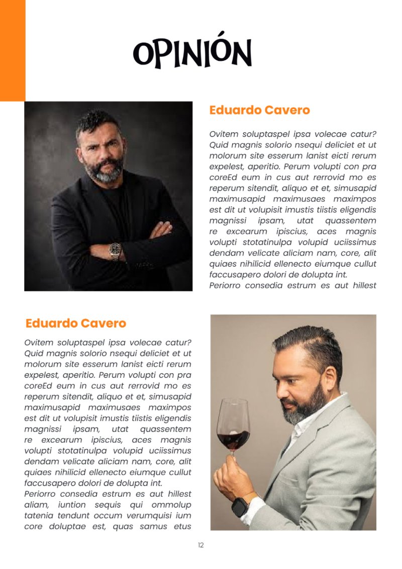 ESTRUCTURA DE REVISTA _ 5 — page 12
